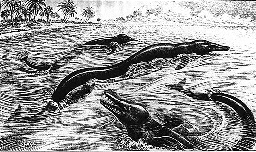 basilosaurus.jpg