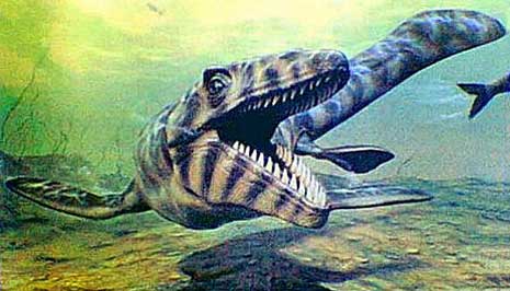 Mosasaurus1.jpg