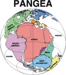 pangea.jpg