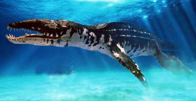 Liopleurodon0.jpg